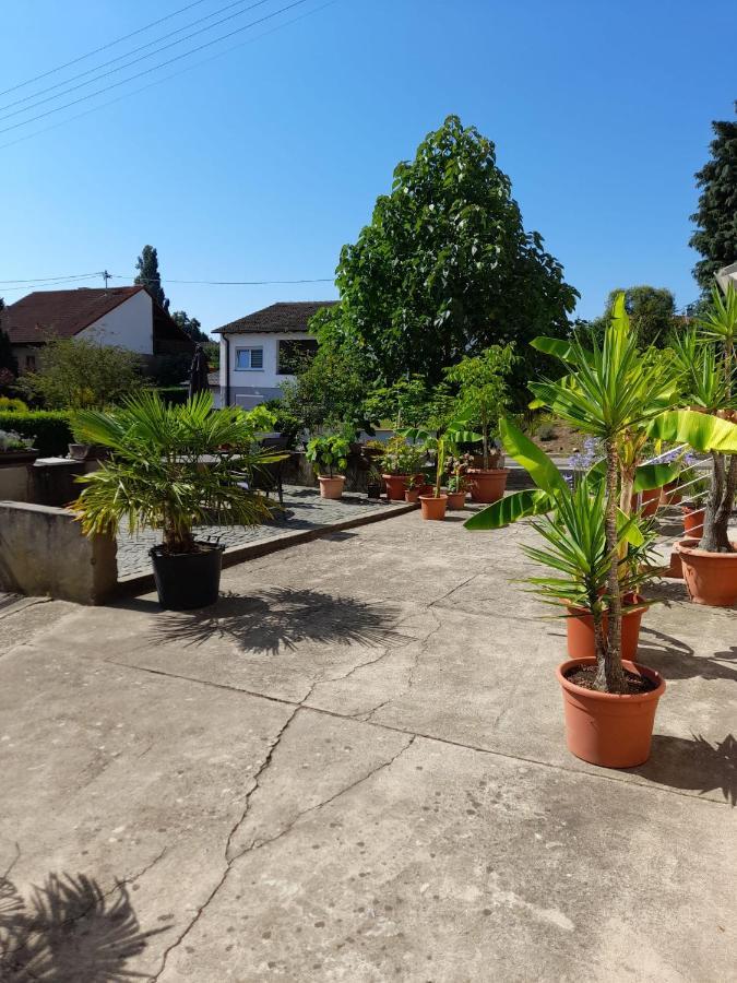 Ferienwohnung "Zum Alten Kuhstall" Oberhausen  Dış mekan fotoğraf