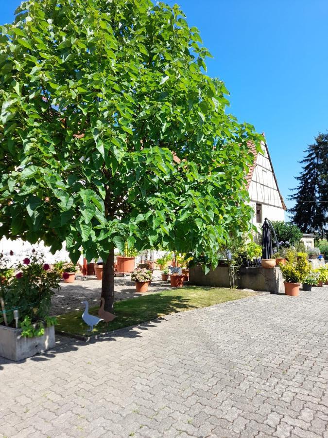 Ferienwohnung "Zum Alten Kuhstall" Oberhausen  Dış mekan fotoğraf