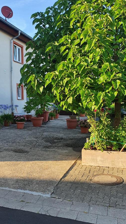 Ferienwohnung "Zum Alten Kuhstall" Oberhausen  Dış mekan fotoğraf