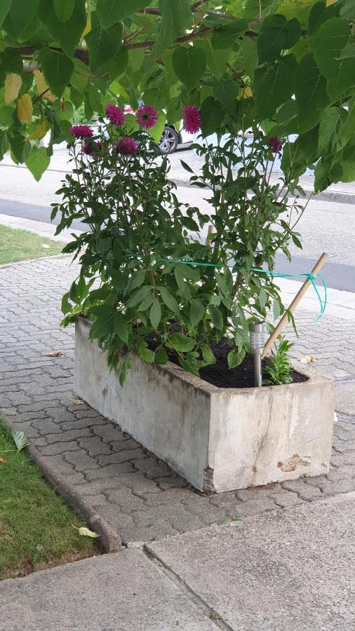 Ferienwohnung "Zum Alten Kuhstall" Oberhausen  Dış mekan fotoğraf
