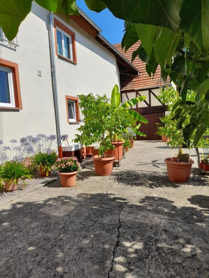 Ferienwohnung "Zum Alten Kuhstall" Oberhausen  Dış mekan fotoğraf