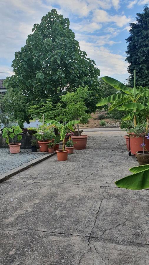 Ferienwohnung "Zum Alten Kuhstall" Oberhausen  Dış mekan fotoğraf