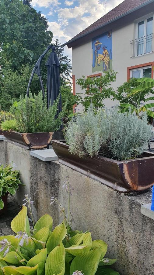 Ferienwohnung "Zum Alten Kuhstall" Oberhausen  Dış mekan fotoğraf